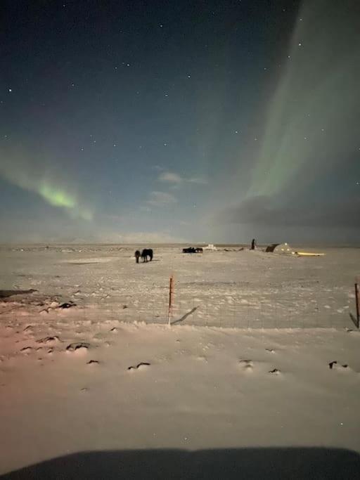 Eaglerock Guesthouse And Tours Kirkjubæjarklaustur المظهر الخارجي الصورة
