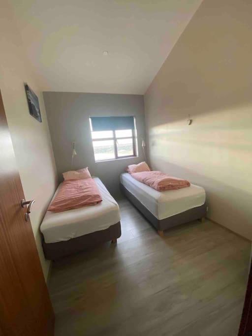 Eaglerock Guesthouse And Tours Kirkjubæjarklaustur المظهر الخارجي الصورة